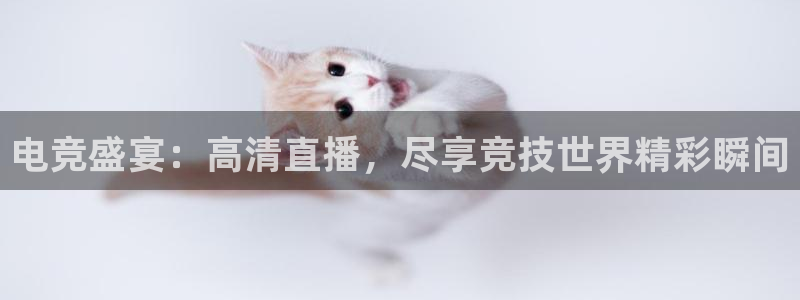 ob电竞官网：电竞盛宴：高清直播，尽享竞技世界精彩瞬间