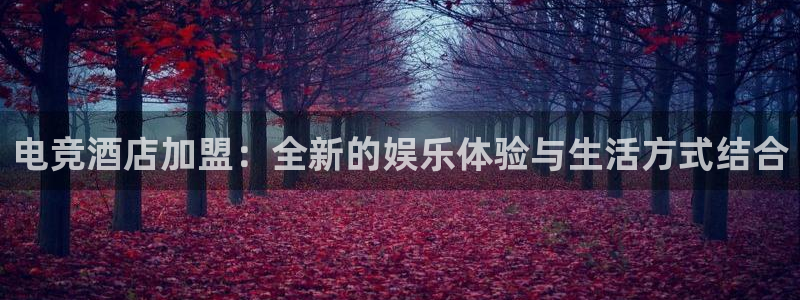 ob电竞网站：电竞酒店加盟：全新的娱乐体验与生活方式结合