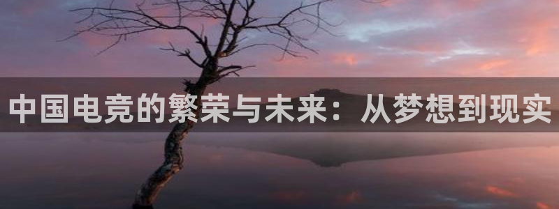 ob电竞网站：中国电竞的繁荣与未来：从梦想到现实