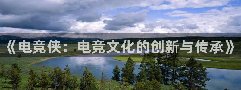 ob电竞网站：《电竞侠：电竞文化的创新与传承》