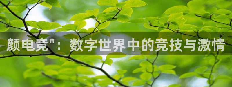 ob电竞官网：颜电竞\