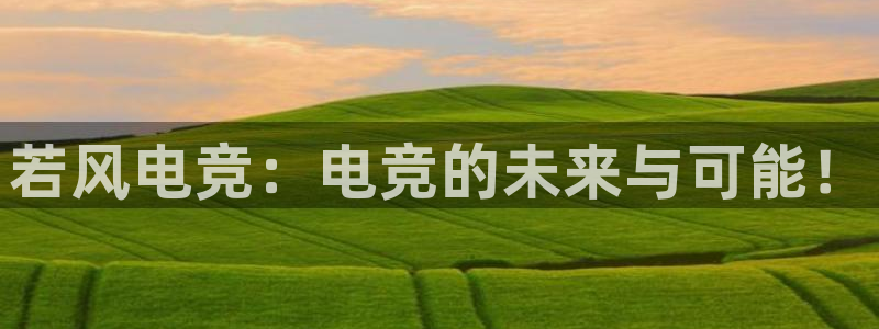 ob电竞官网：若风电竞：电竞的未来与可能！