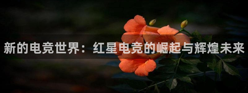 ob电竞官网：新的电竞世界：红星电竞的崛起与辉煌未来