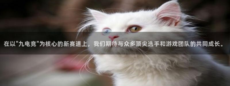 ob电竞官网入口：在以\